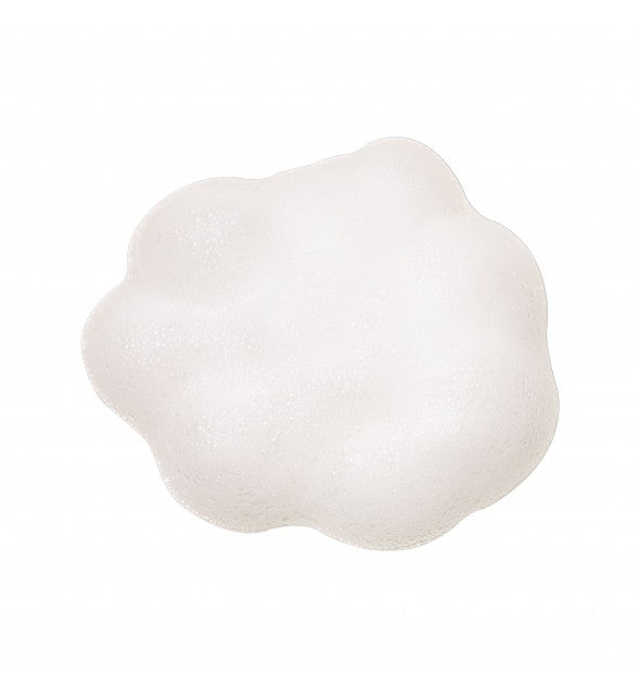Rich Moist Foaming Cleanser