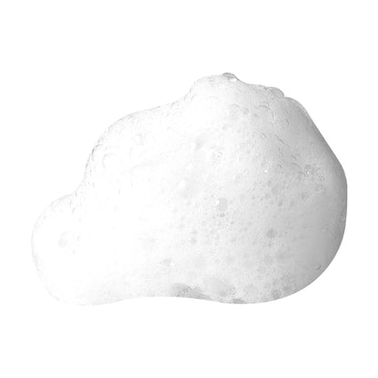 PHA & Saponaria Purifying Foaming Cleanser