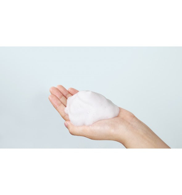Rich Moist Foaming Cleanser