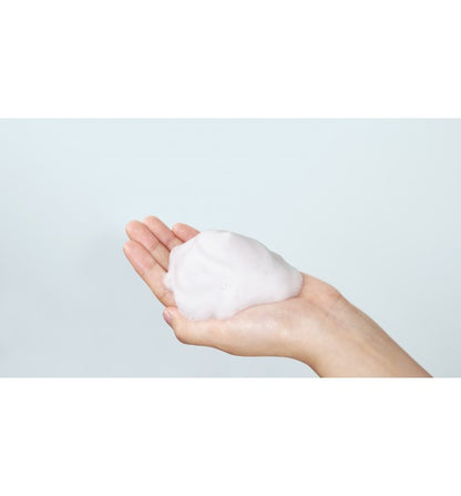 Rich Moist Foaming Cleanser